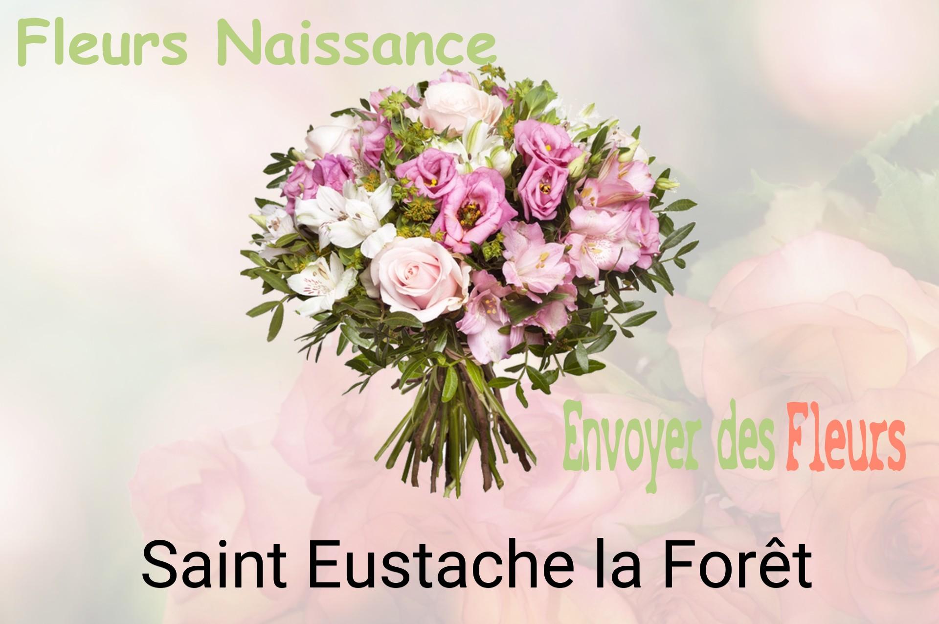 Bouquet de fleurs de naissance livré à Saint-Eustache-la-Forêt